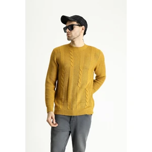 Bisiklet Yaka Slim Fit Dar Kesim Desenli Triko Kazak