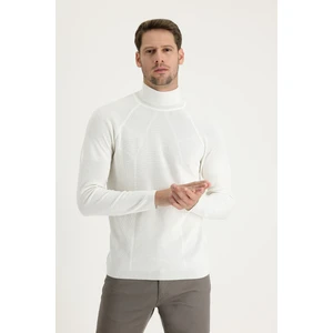 Balıkçı Yaka Slim Fit Dar Kesim Desenli Pamuklu Triko Kazak