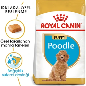 Royal Canin Poodle Puppy Yavru Köpek Maması 3 Kg