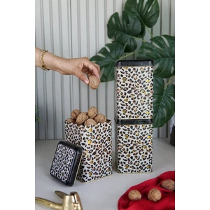 ERB09V4 Kare Saklama Kabı 105X105 3 Lü Set, Leo