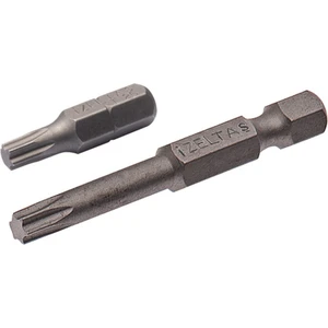 İZELTAŞ T40 50mm TORX BİTS UÇ