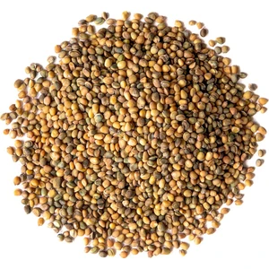 Roka Tohumu Ithal, 1 Gram