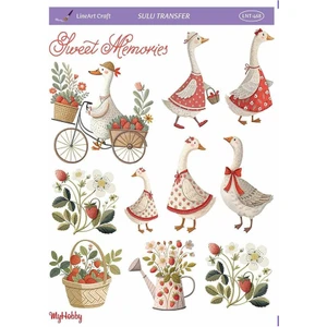 LNT468 Çoklu, Kaz, Ördek, Hayvan Desenli 25*35 cm Açık Zemin Sulu Transfer