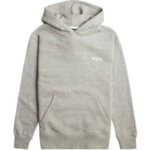 Arch Po Erkek Gri Sweatshirt
