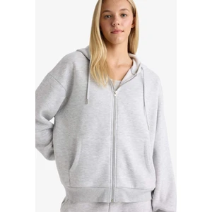 Relax Fit Kapüşonlu Basic Düz Kalın Fermuarlı Sweatshirt C1809AX25AU