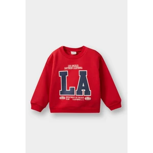 Erkek Bebek Bisiklet Yaka Baskılı İçi Yumuşak Tüylü Sweatshirt E9238A525AU