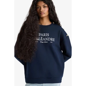 Relax Fit Bisiklet Yaka Baskılı Kalın Sweatshirt F7885AX25AU