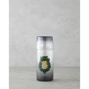 Harry Potter Cam Lisanslı Başucu Sürahi 700 ml + 220 ml Renkli