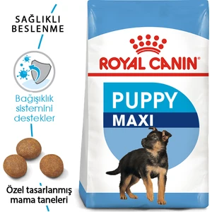 Royal Canin Maxi Puppy Büyük Irk Yavru Köpek Maması 15 Kg