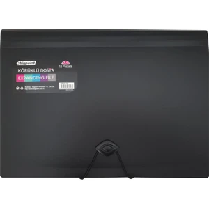 Körüklü Dosya 13 Cepli Lastikli A4 Siyah