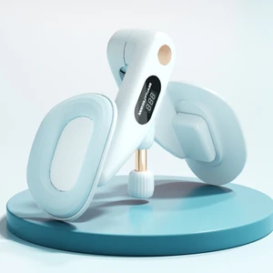 Pelvik Taban Kaslarının Yeni Versiyonunu Sayma (Yurt Dışından)