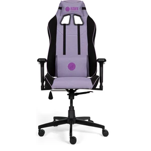 Hawk Gaming Chair Fab Dream Oyuncu Koltuğu