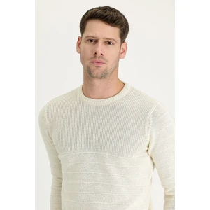 Bisiklet Yaka Slim Fit Dar Kesim Desenli Triko Kazak