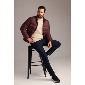 Bisiklet Yaka Regular Fit Dikişsiz Desenli Triko Kazak
