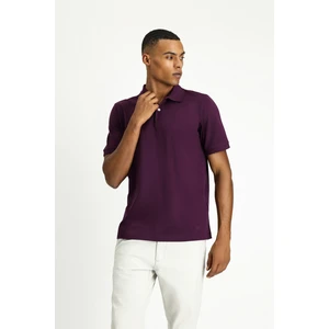 Polo Yaka Regular Fit Nakışlı Pamuk Tişört