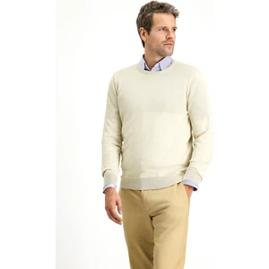 Bisiklet Yaka Slim Fit Dar Kesim Desenli Pamuklu Triko Kazak