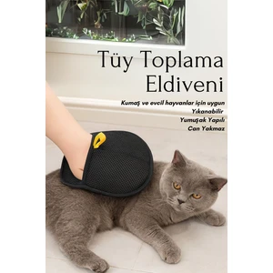 Tüy Temizleme Eldiveni Çift Taraflı Statik Evcil Hayvan Kumaş Mobilyalar Için Casapetra