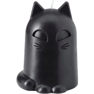 Kustfyr Kedili Siyah Mum