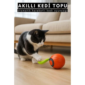 Kedi Oyun Topu Kendinden Hareketli Otomatik Hareketli Top Şarj Edilebilir Casapetra