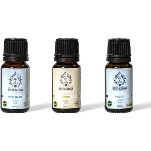 Art De Huile Aromaterapi Detoks Kiti 5 ml