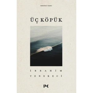 Üç Köpük - İbrahim Tenekeci