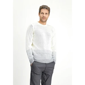 Bisiklet Yaka Regular Fit Desenli Triko Kazak