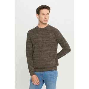 Altınyıldız Classics Erkek Kahverengi-bej Standart Fit Normal Kesim Bisiklet Yaka Desenli Triko Kazak