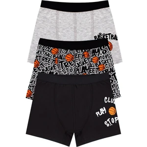 Erkek Çocuk Boxer 3'lü Baskılı (%96 Pamuk - %4 Elastan)