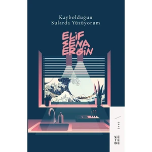 Kaybolduğun Sularda Yüzüyorum - Elif Sena Ergin