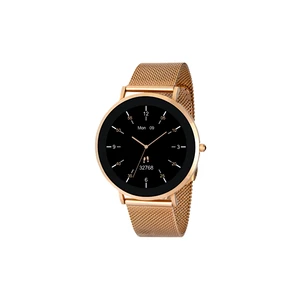LW43 Gold Kasa 43 mm Gold Çelik Hasır Kordon Akıllı Saat