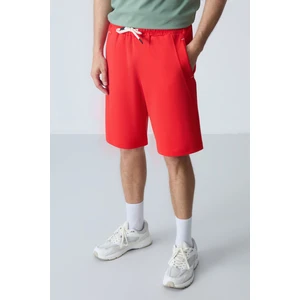 Air Jones Fiesta Pamuklu Kalın Yumuşak Dokulu Standart  Fit Basic Erkek Şort  - 81278