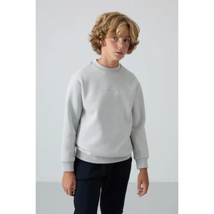 Tommy Life Taş Pamuklu Kalın İçi Tüylü Yumuşak Dokulu Standart Fit Nakışlı Erkek Çocuk Sweatshirt - 11232