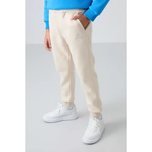 Tommy Life Bej Pamuklu Kalın İçi Tüylü Yumuşak Dokulu Standart Fit Nakışlı Erkek Çocuk Eşofman Alt - 11224