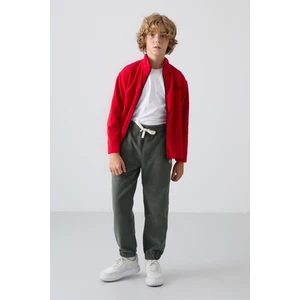 Tommy Life Haki Kalın Yumuşak Dokulu Standart Fit Nakışlı Polar Erkek Çocuk Eşofman Alt - 11220