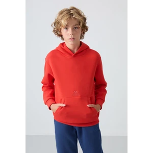 Tommy Life Fiesta Pamuklu Kalın İçi Tüylü Yumuşak Dokulu Standart Fit Baskılı Erkek Çocuk Sweatshirt - 11215