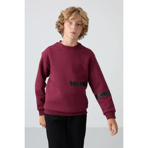 Tommy Life Erguvan Pamuklu Kalın İçi Tüylü Yumuşak Dokulu Standart Fit Baskılı Erkek Çocuk Sweatshirt - 11238
