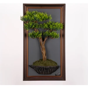 Bonsai Tableau-1C