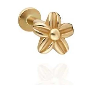 Minimal Çiçek Model Tragus Piercing