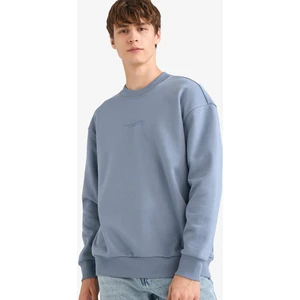 Boxy Fit Bisiklet Yaka İçi Yumuşak Tüylü Baskılı Sweatshirt X8282AZ25AU