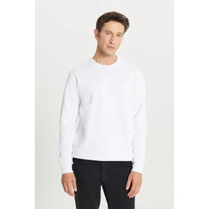 Altınyıldız Classics Erkek Beyaz Standart Fit Normal Kesim Içi Polarlı 3 Iplik Bisiklet Yaka Sweatshirt