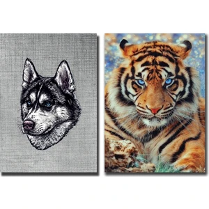 A4 Dikişli 80 Yaprak Kareli Okul Defteri Seti Desenli