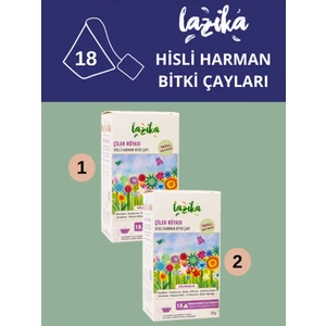 Çilek Rüyası Bitki Çayı 18'li Piramit Poşet 2li Set