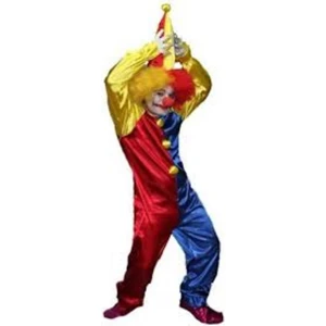 Tulum Palyaço Kostüm Yetişkin