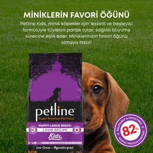 Kuzu Etli Yavru Köpek Maması 6 kg (2X3KG) - Kids
