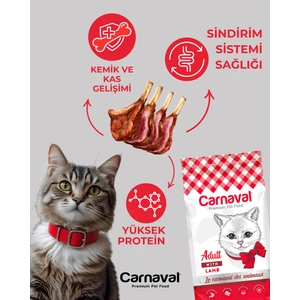 Kuzu Etli Yetişkin Kedi Maması 3kg (2x1.5kg)