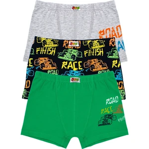 Erkek Çocuk Boxer 3'lü Baskılı (%96 Pamuk - %4 Elastan)