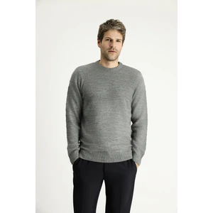 Bisiklet Yaka Slim Fit Dar Kesim Desenli Triko Kazak