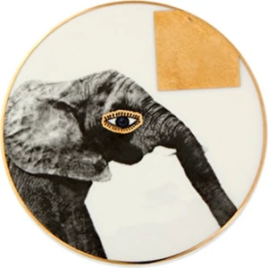 Wild Life Elephant Bardak Altlık 10 Cm