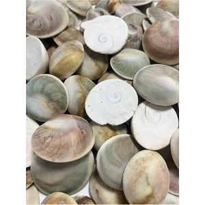 Büyük Yılancık Doğaltaş