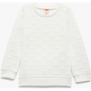 Kalpli Uzun Kollu Bisiklet Yaka Sweatshirt